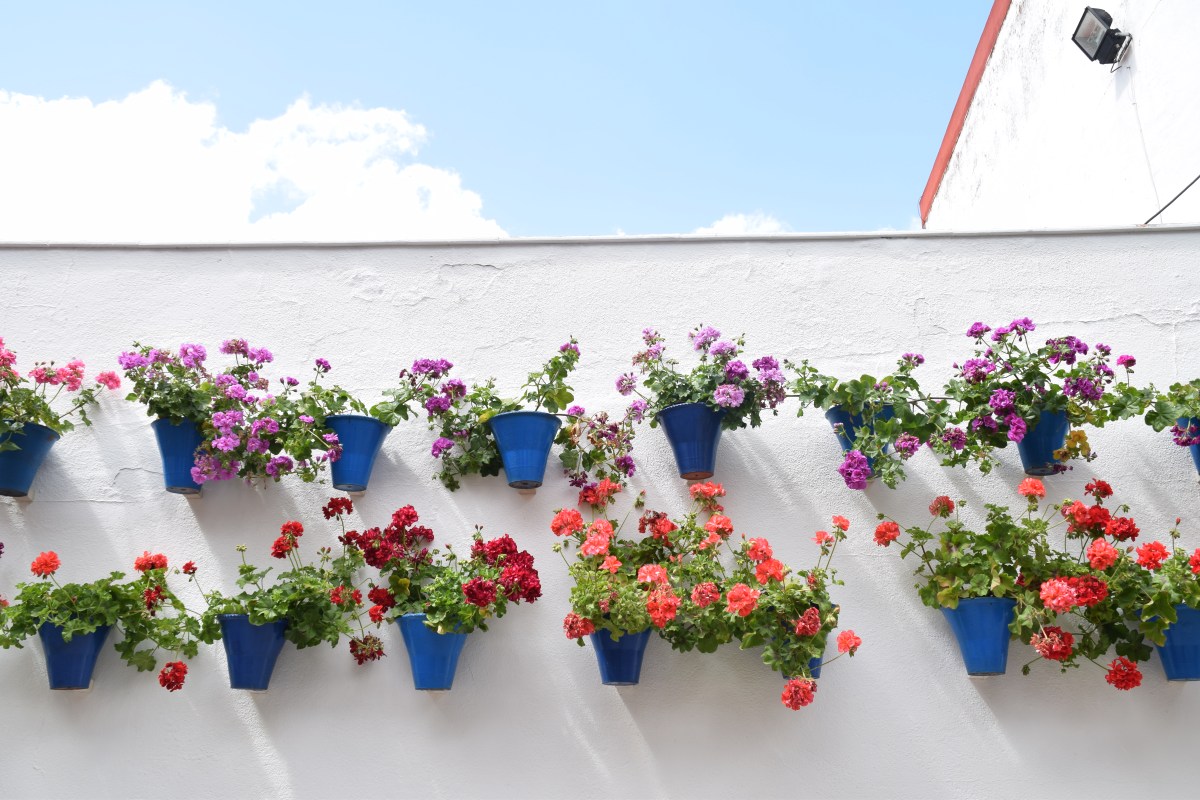 Cordoba – Among the Patios – Andalucia,&nbsp;Spain